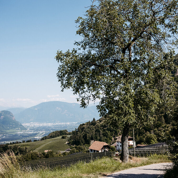 FESTENSTEIG