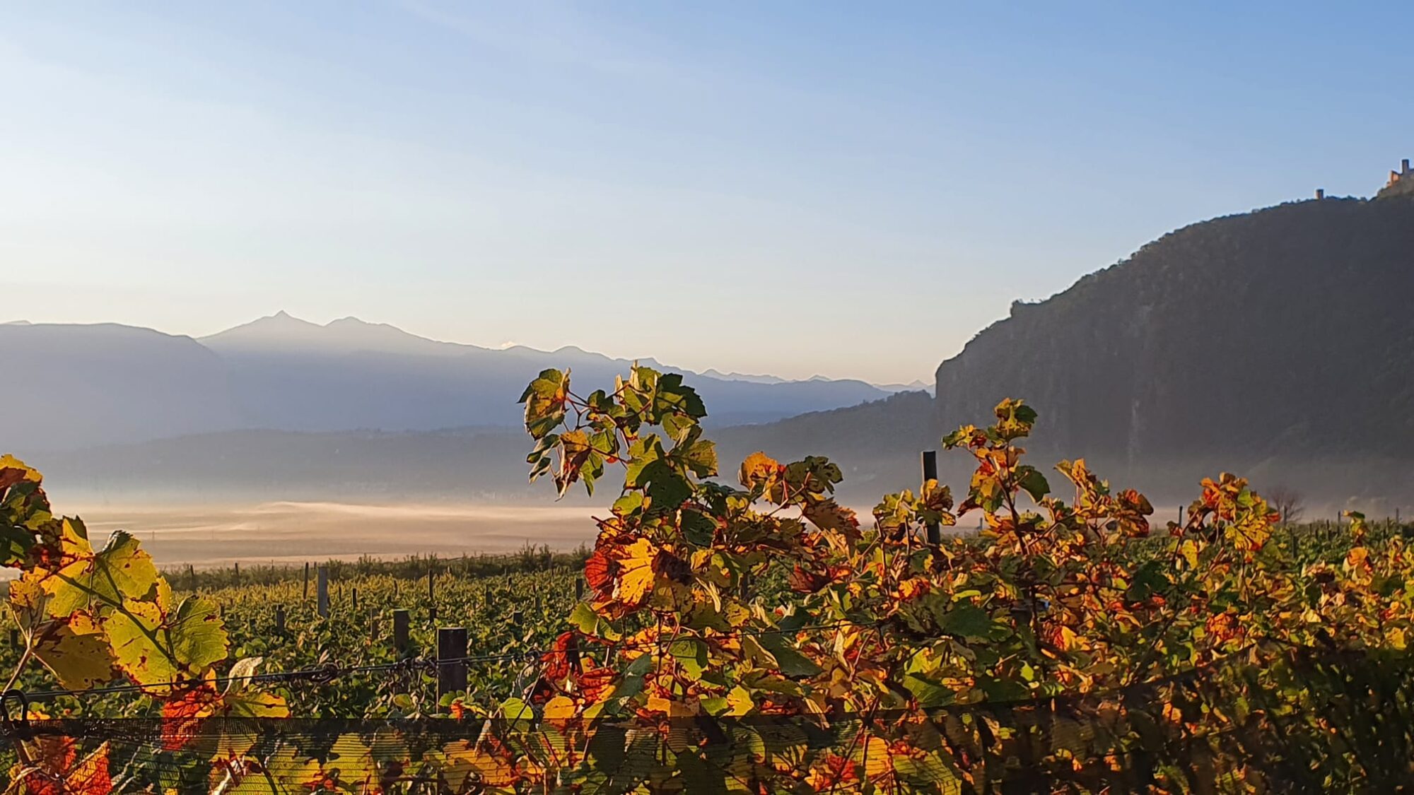 Urlaub in Andrian Südtirol